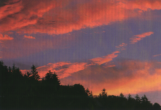 �n�C�}�c�Y��