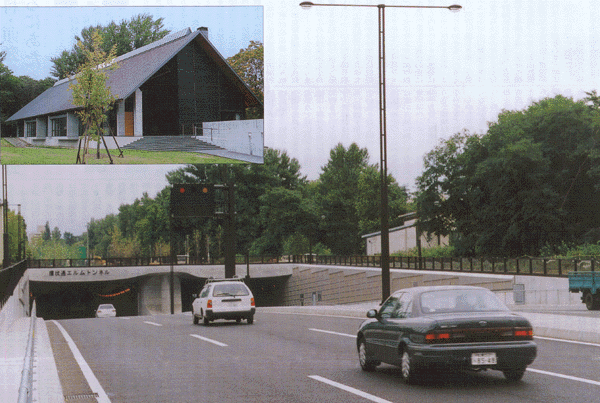 �n�C�}�c�Y��