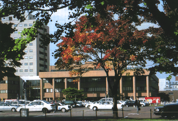 �n�C�}�c�Y��