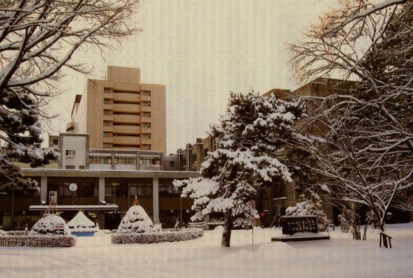 �n�C�}�c�Y��