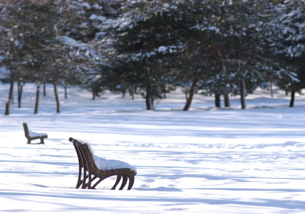 �n�C�}�c�Y��