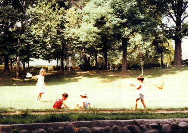 �n�C�}�c�Y��