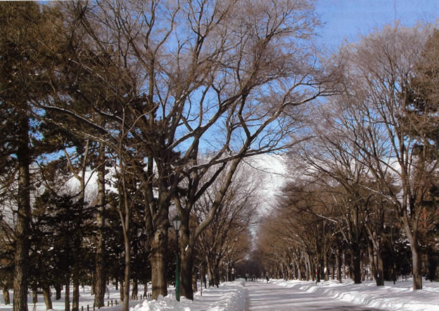 �n�C�}�c�Y��