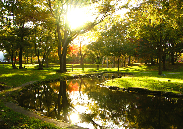 �n�C�}�c�Y��