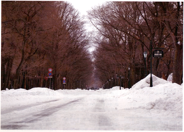 �n�C�}�c�Y��