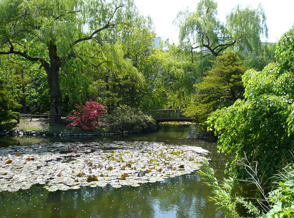 �n�C�}�c�Y��