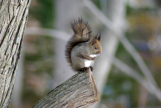 �l����G�]���X