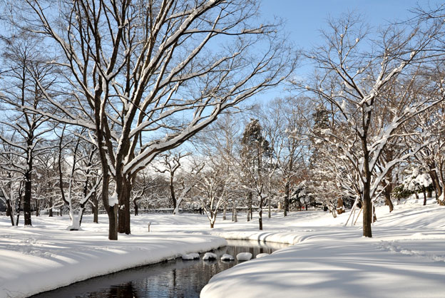 �u�~�̒������[���v