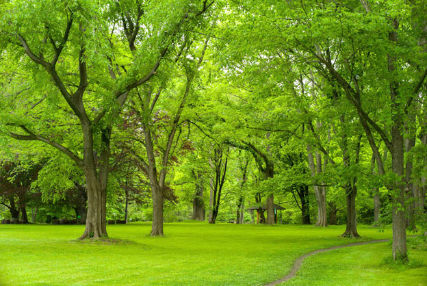 �u�k��A�����@�n���j���̗сv