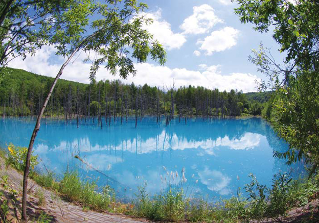 �u���l�E���r�v