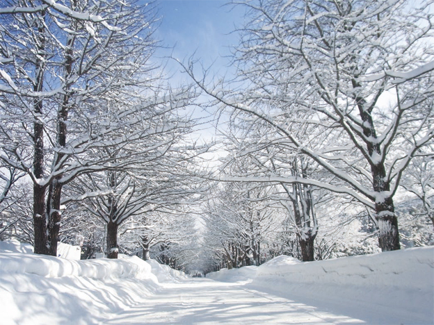 �u���̍~�������v