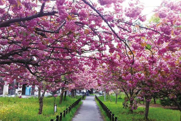 �u���d���̃g���l���v