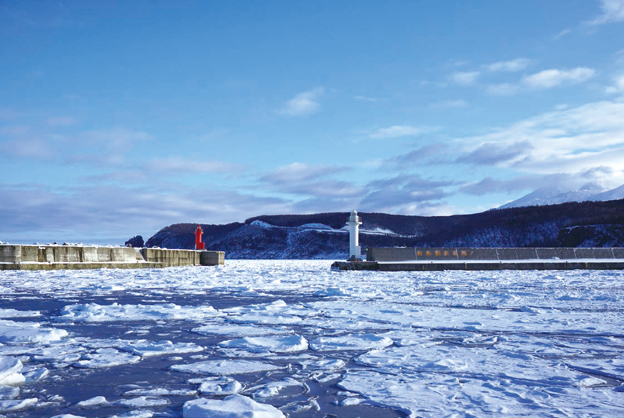 �u���X�̖�v